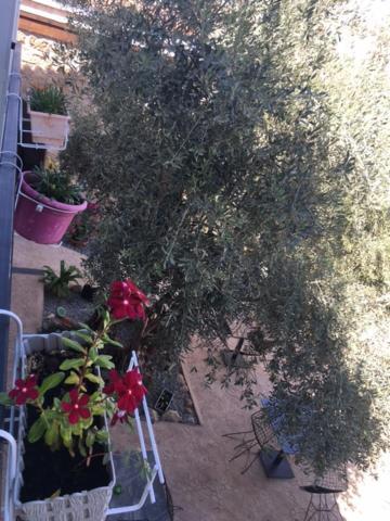 Bella Casetta Guest House Famagusta  Luaran gambar